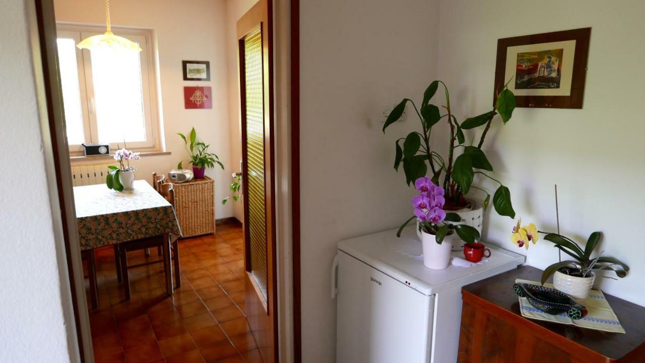 波尔托罗Bonsai House公寓 外观 照片